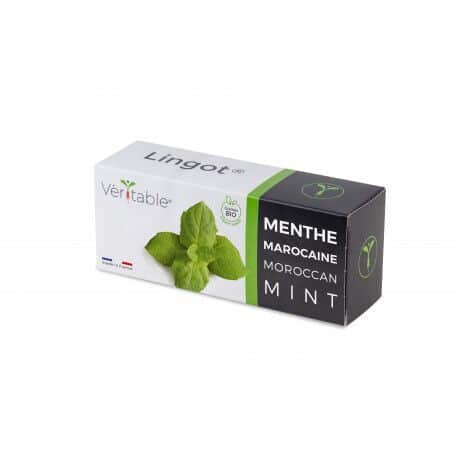VERITABLE Lingot® Maroccan Mint – Мароканска Мента