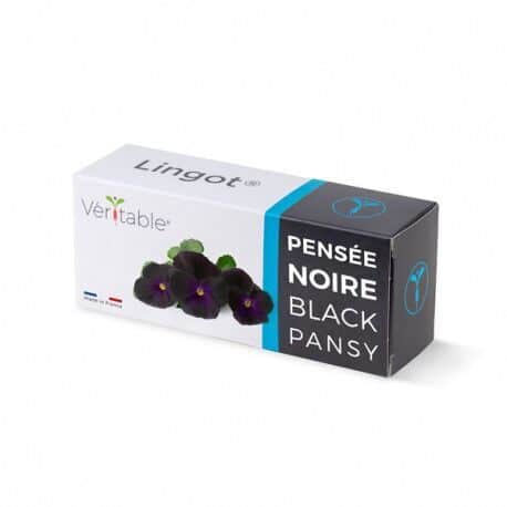 VERITABLE Lingot® Black Pansy – Черна Теменужка