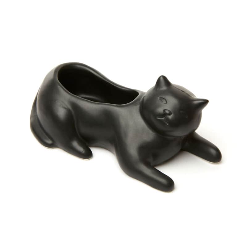 Саксия Black cat