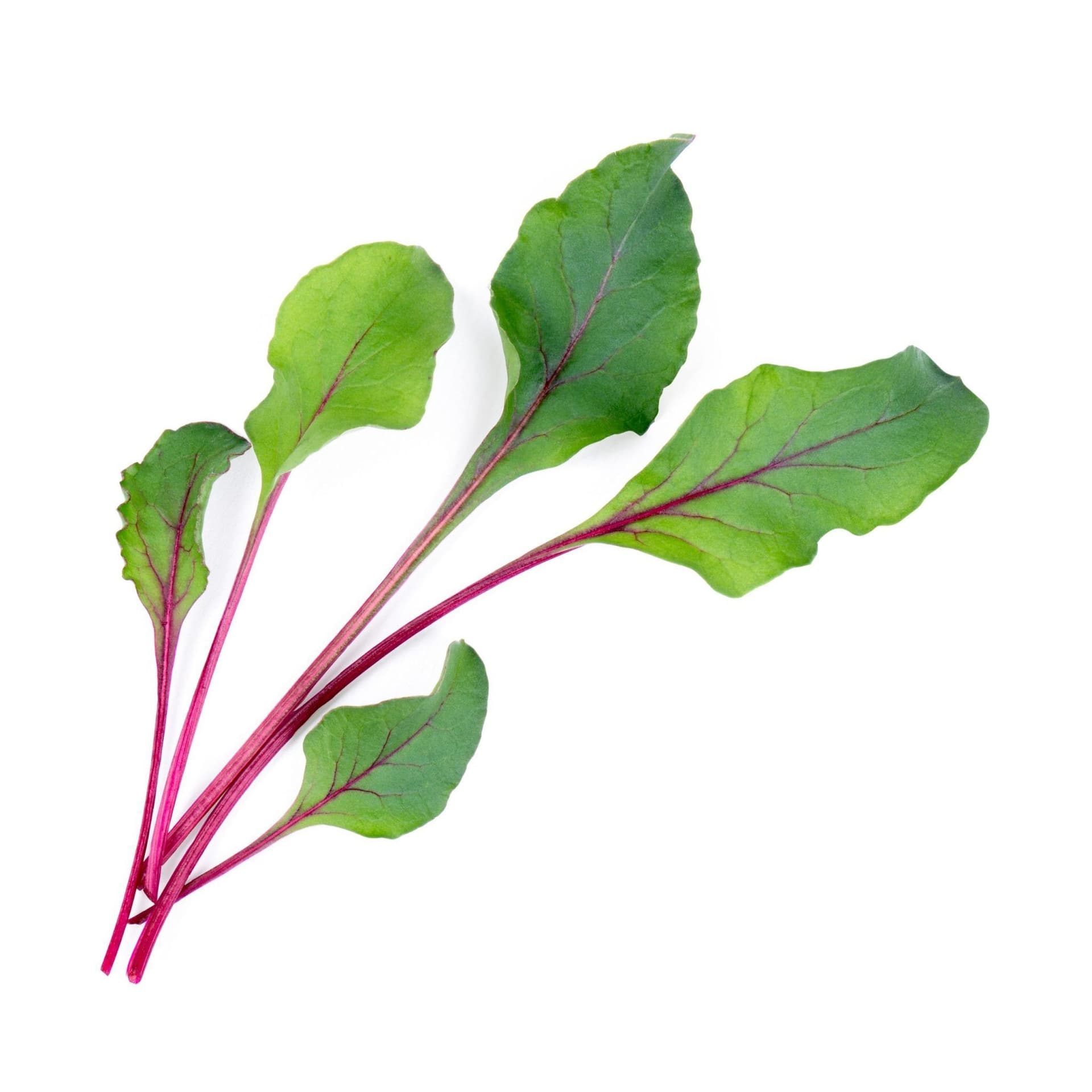 VERITABLE Lingot® Beet Greens Organic – Листа цвекло
