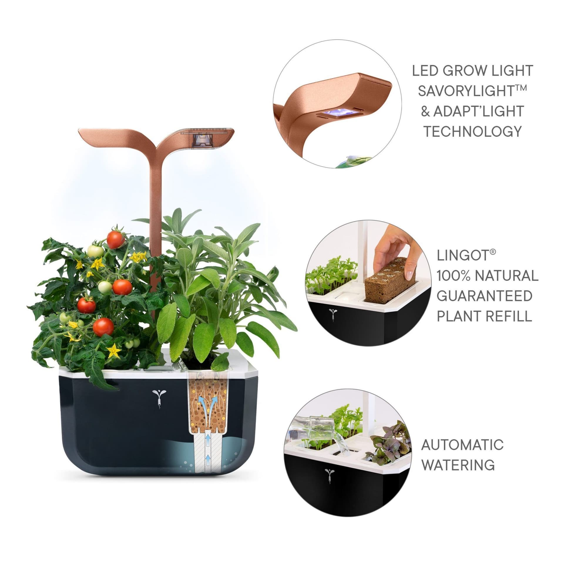 Домашна градина EXKY® SMART GARDEN – цвят черен/мед