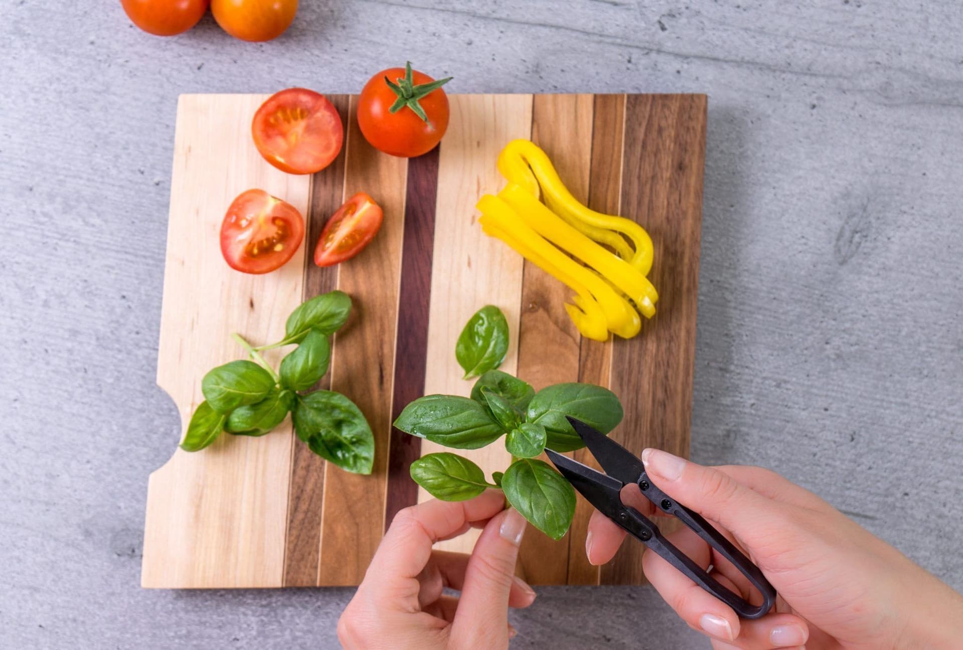 VERITABLE Мини градинска ножица MINI-SNIPS