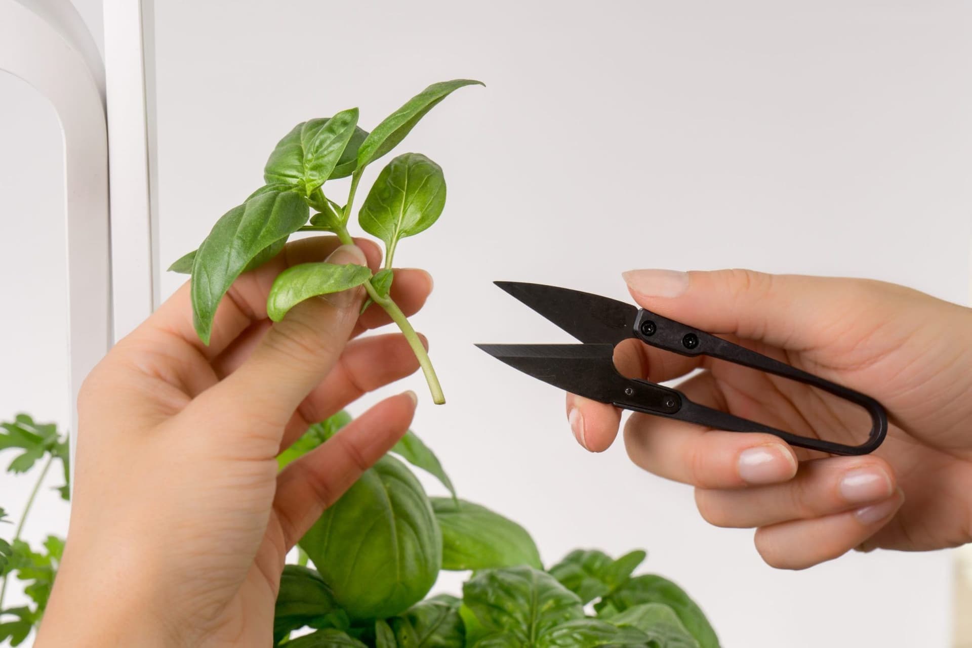 VERITABLE Мини градинска ножица MINI-SNIPS