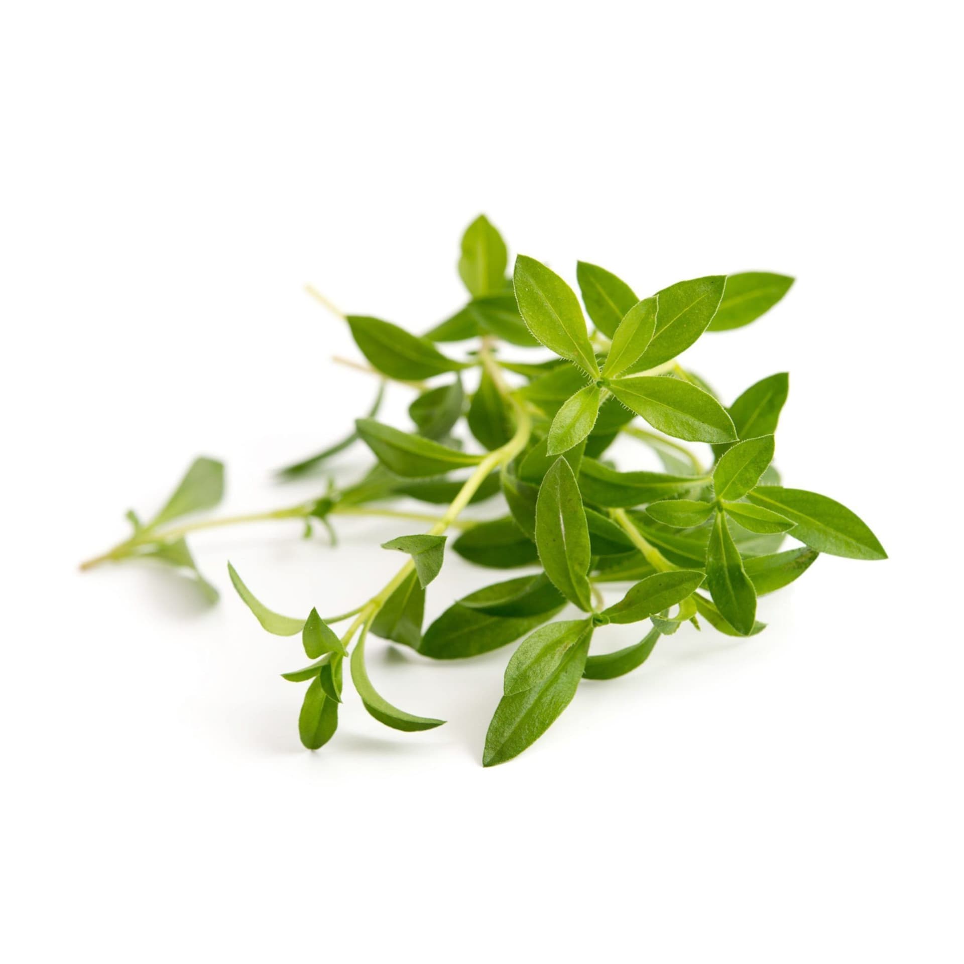 VERITABLE Lingot® Savory Organic – Чубрица
