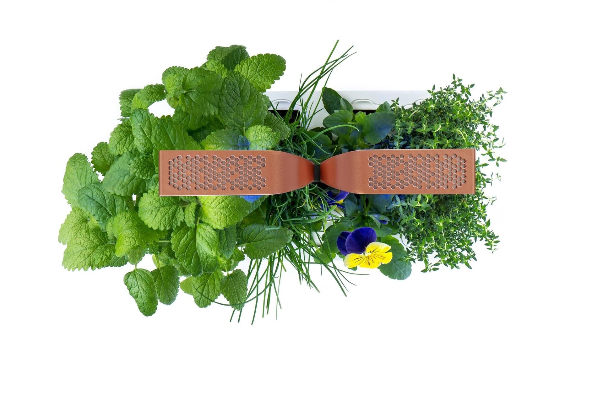 Домашна градина SMART VÉRITABLE® GARDEN – цвят черен/мед