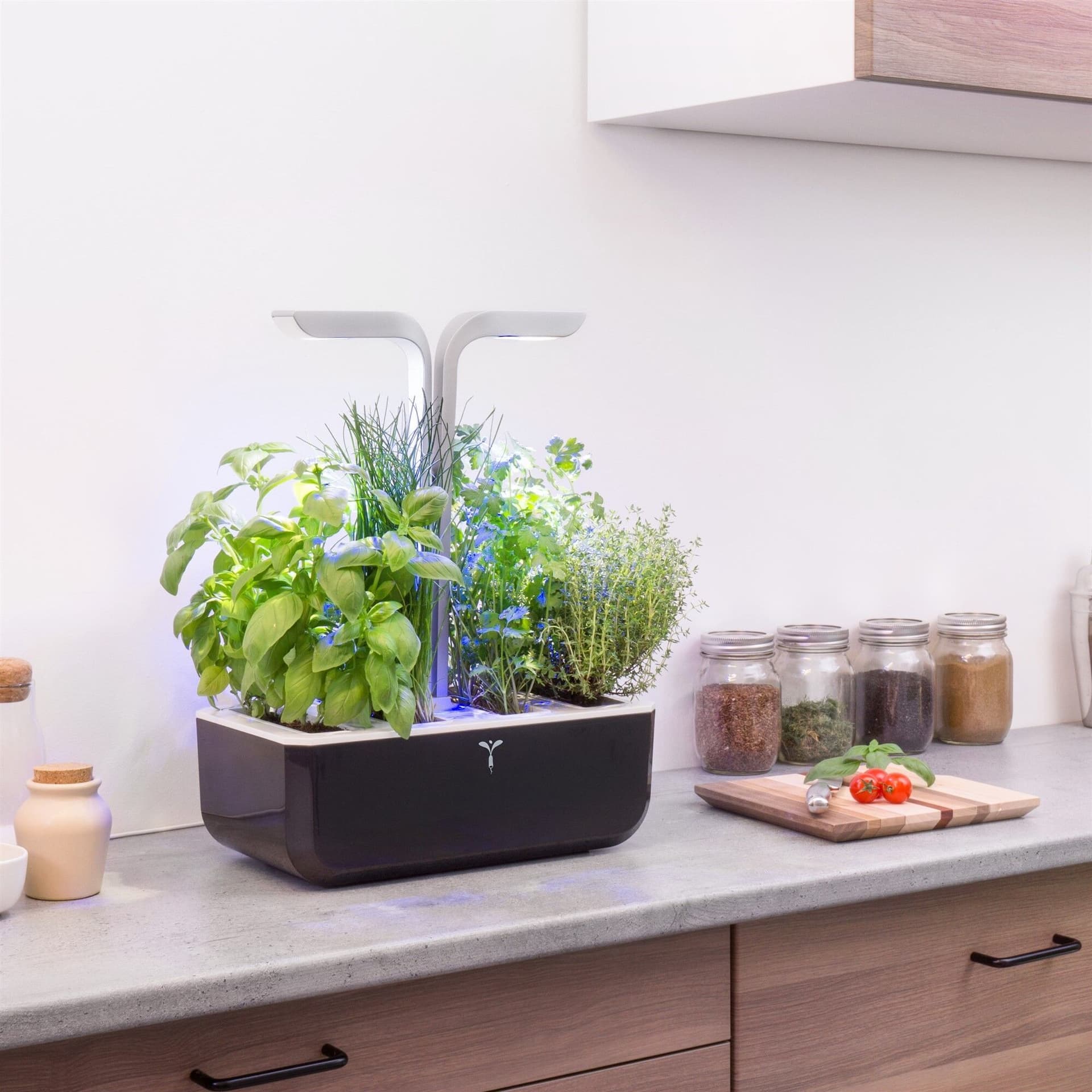 Домашна градина SMART VÉRITABLE® GARDEN – цвят черен/инокс