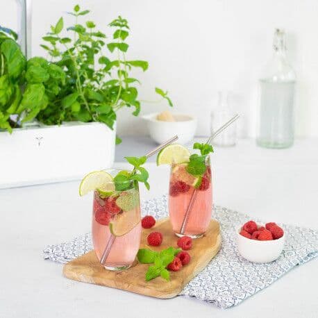 VERITABLE Lingot® Maroccan Mint – Мароканска Мента
