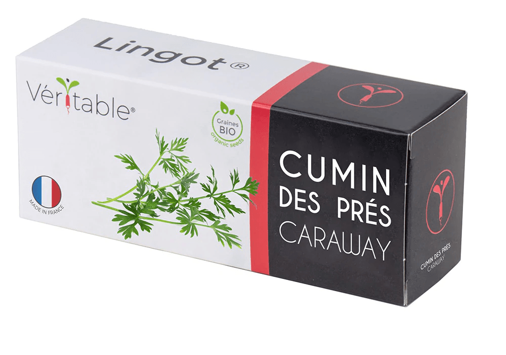 VERITABLE Lingot® Cumin - Кимион