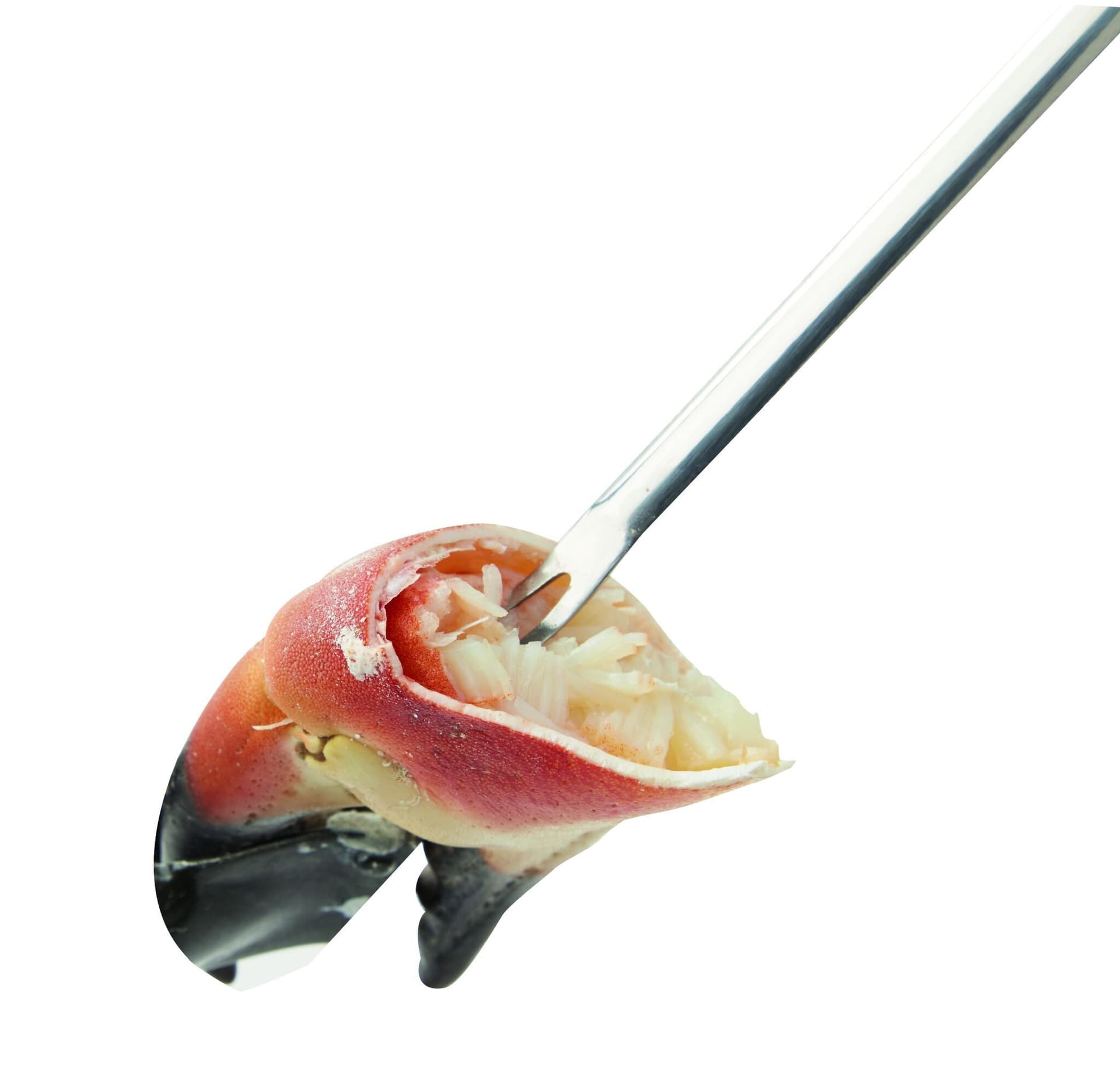 ZYLISS Комплект прибори за морски дарове SEAFOOD