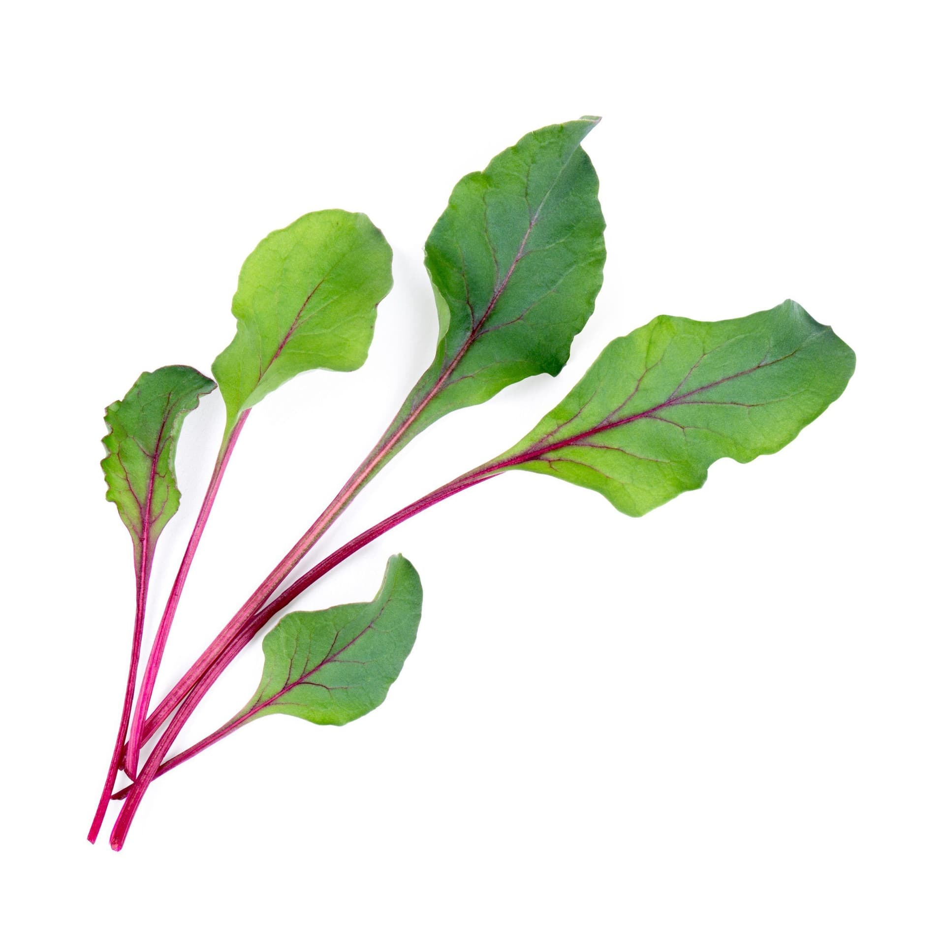 VERITABLE Lingot® Beet Greens Organic – Листа цвекло