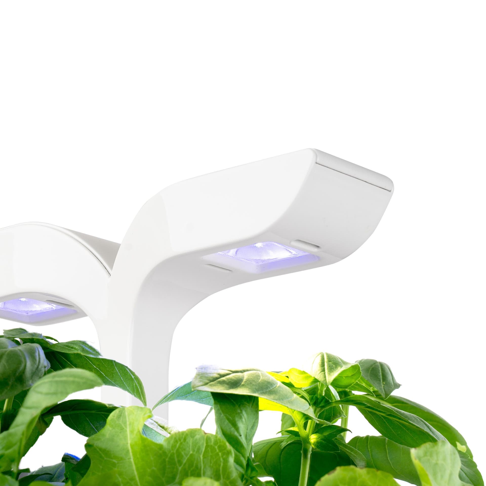 Домашна градина EXKY® CLASSIC GARDEN – цвят бял