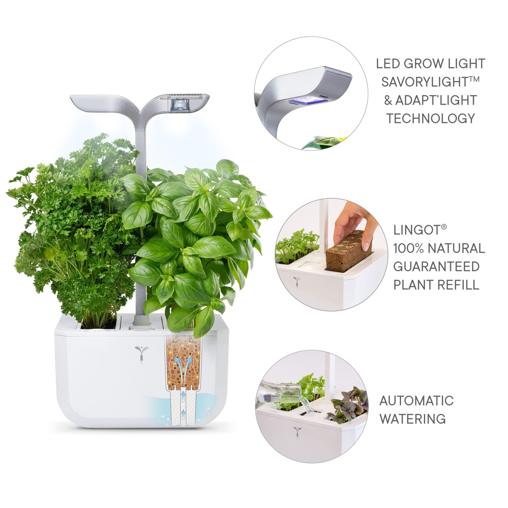 Домашна градина EXKY® SMART GARDEN – цвят бял/инокс