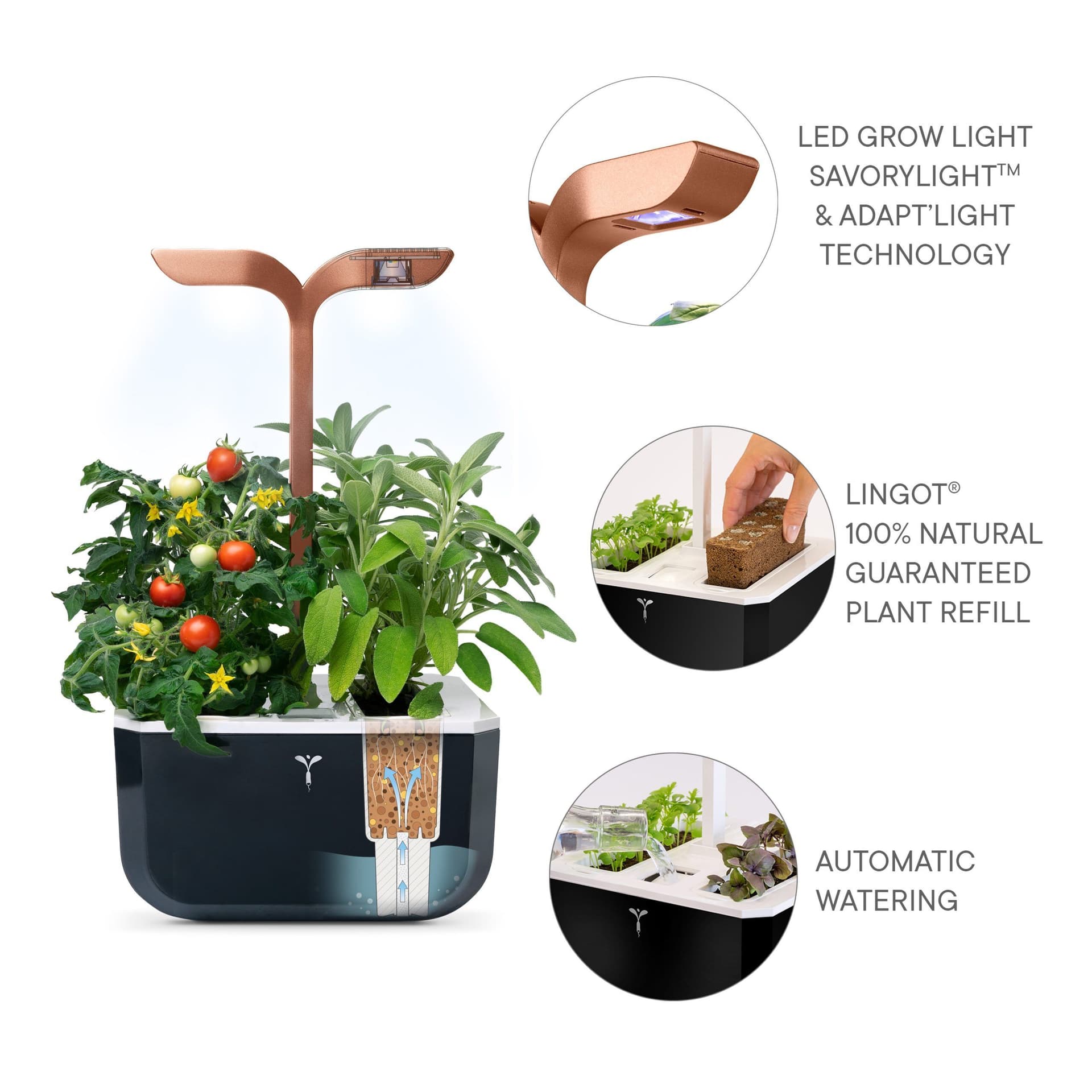 Домашна градина EXKY® SMART GARDEN – цвят черен/мед