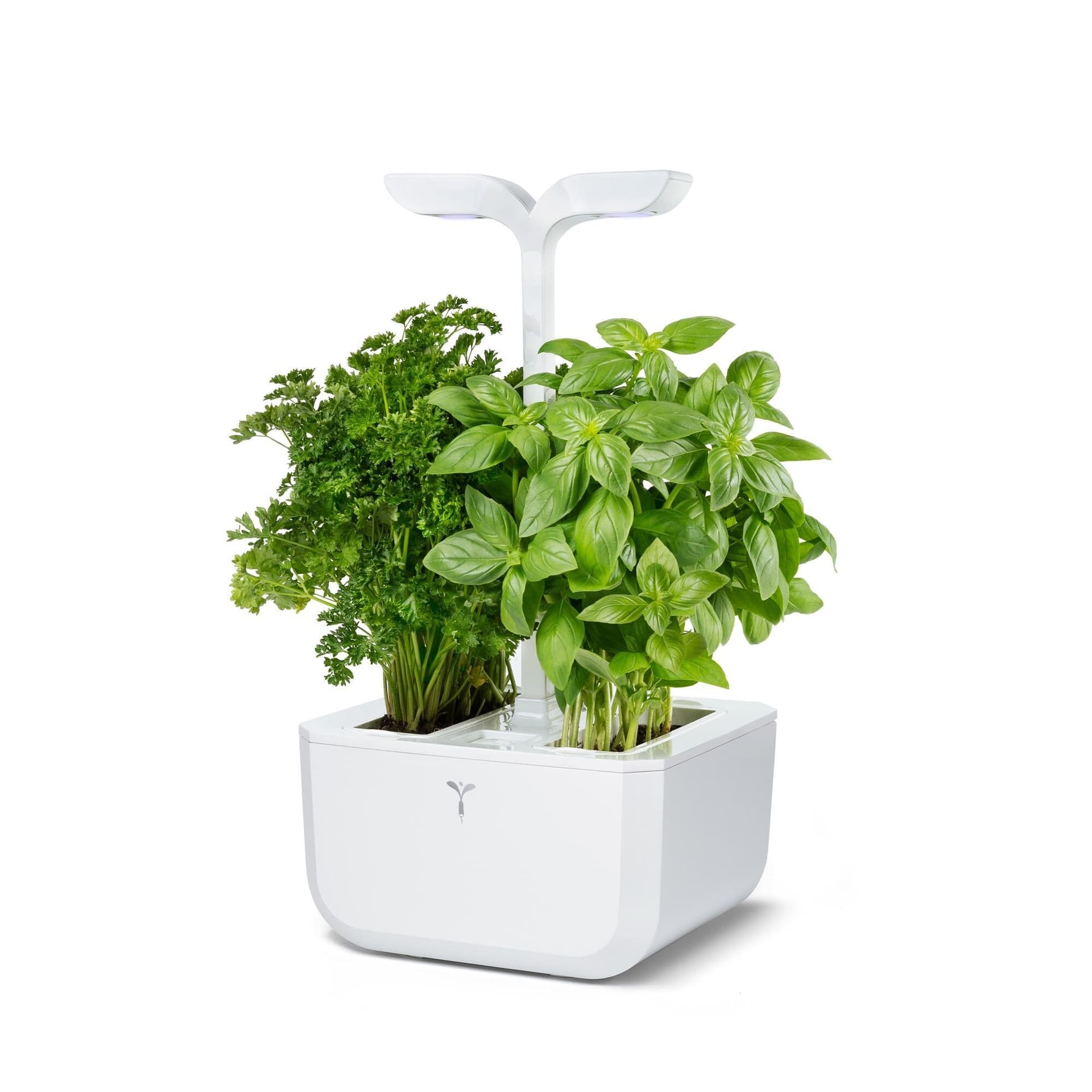 Домашна градина EXKY® CLASSIC GARDEN – цвят бял