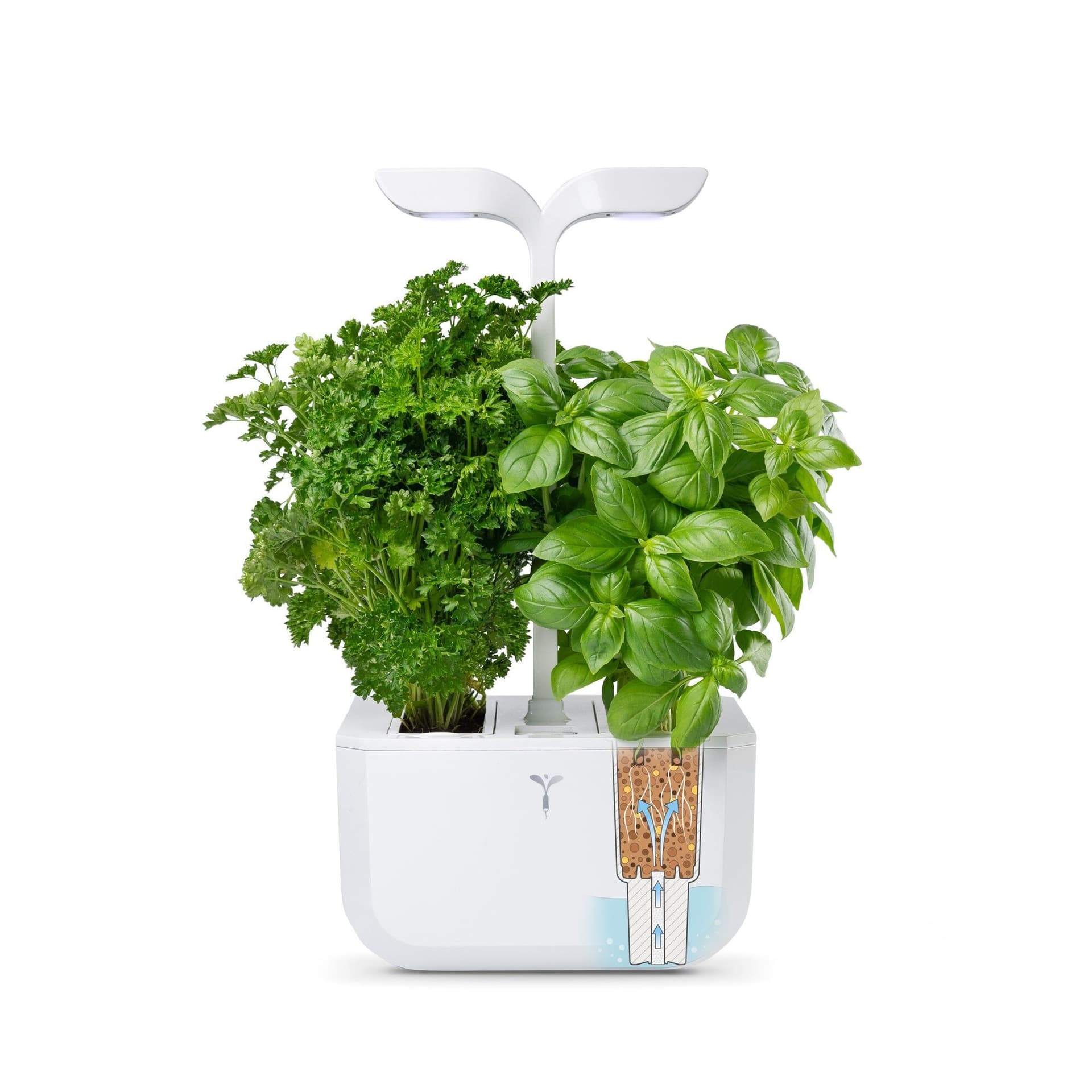 Домашна градина EXKY® CLASSIC GARDEN – цвят бял