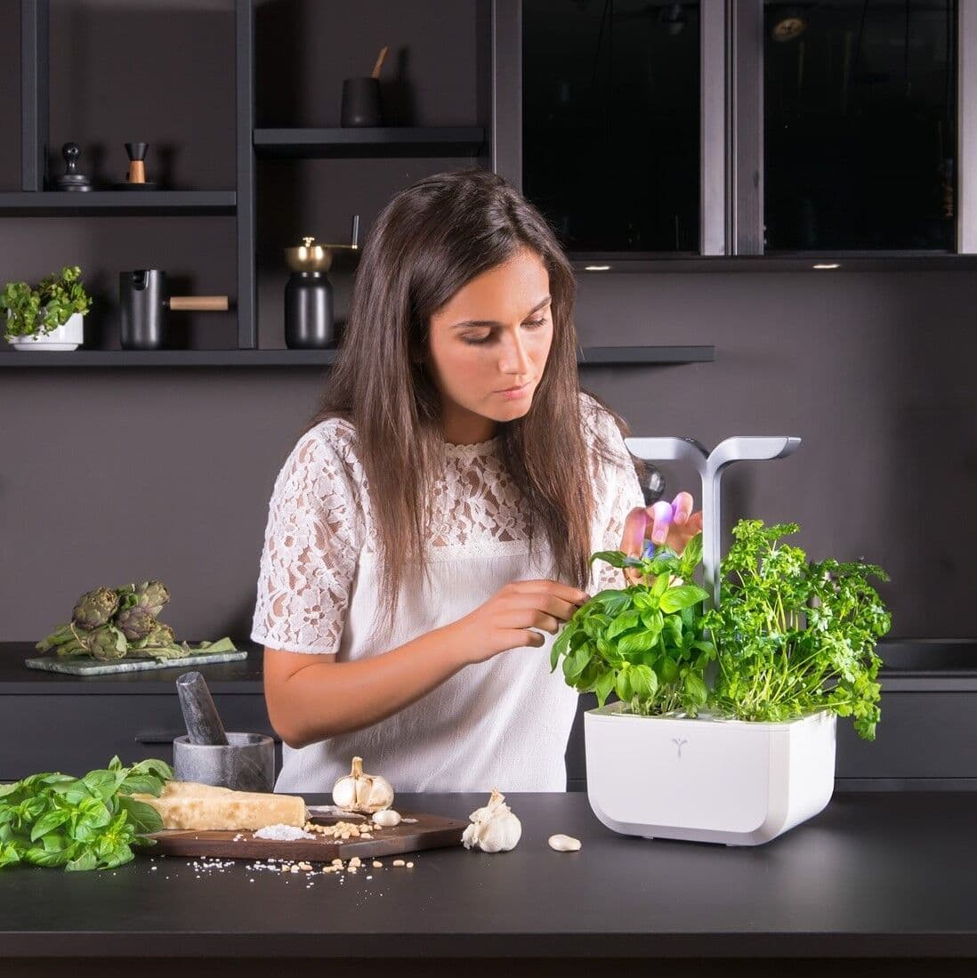 Домашна градина EXKY® SMART GARDEN – цвят бял/инокс