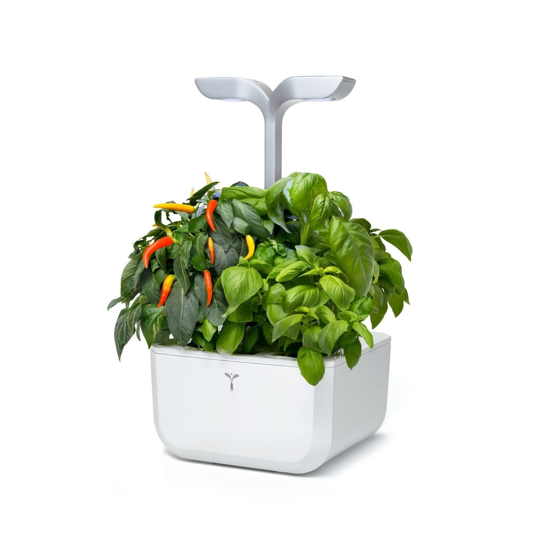 Домашна градина EXKY® SMART GARDEN – цвят бял/инокс