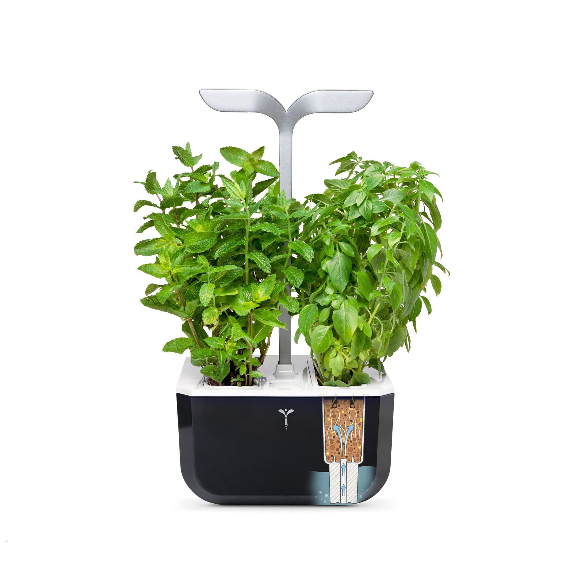 Домашна градина EXKY® SMART GARDEN – цвят черен/инокс