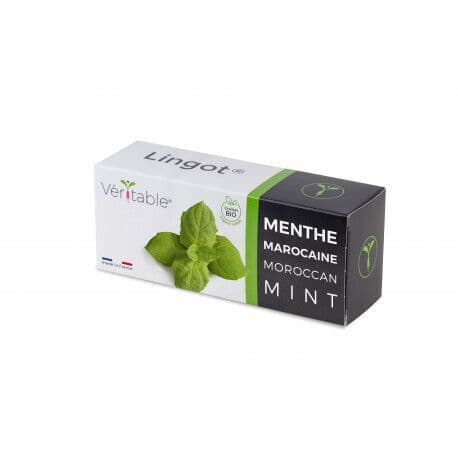 VERITABLE Lingot® Maroccan Mint – Мароканска Мента