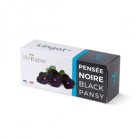 VERITABLE Lingot® Black Pansy – Черна Теменужка
