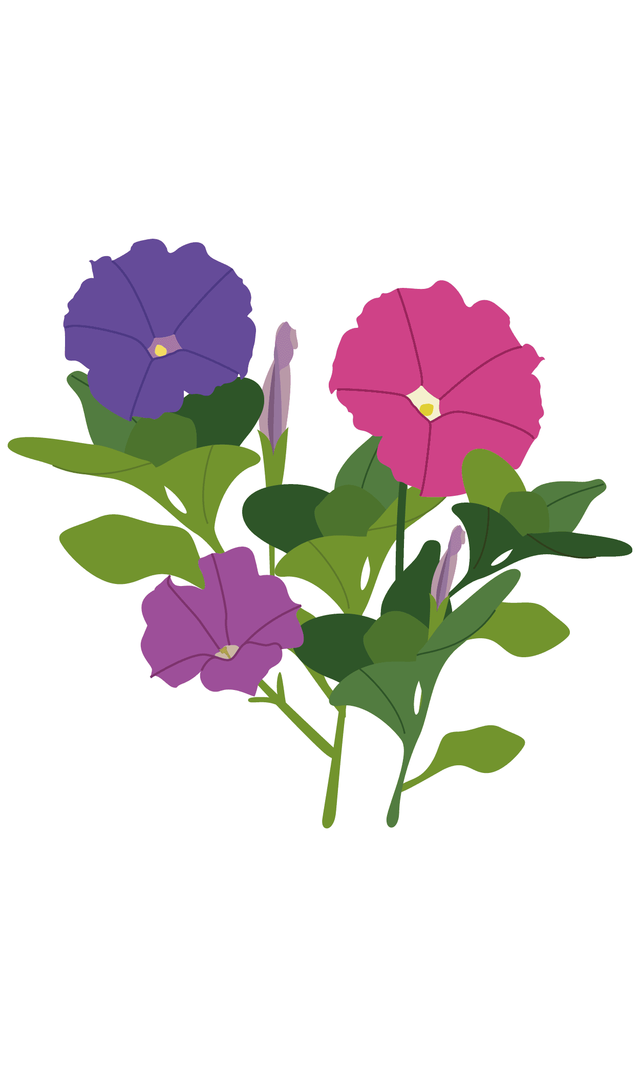 VERITABLE Lingot® Petunia – Ядлива  Петуния