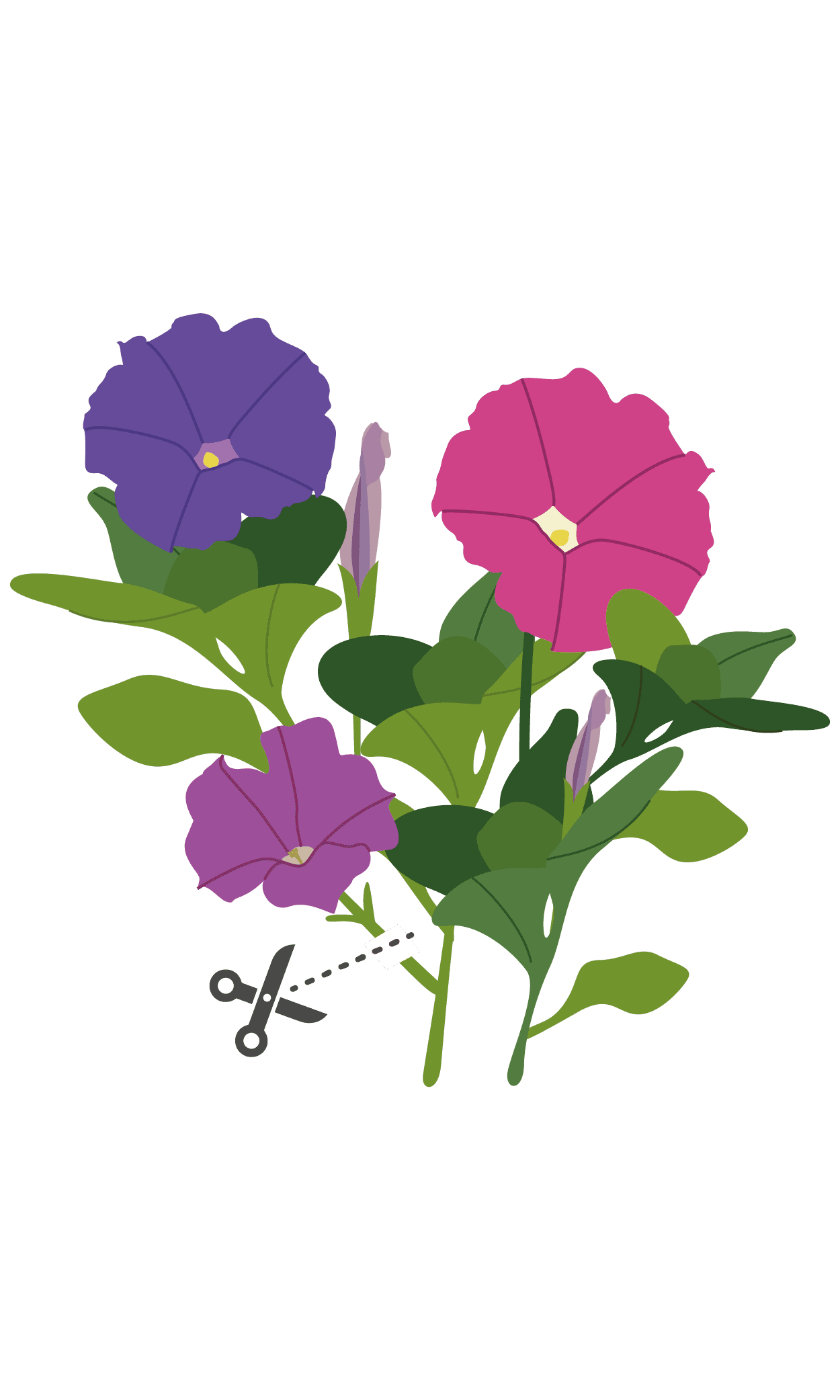 VERITABLE Lingot® Petunia – Ядлива  Петуния