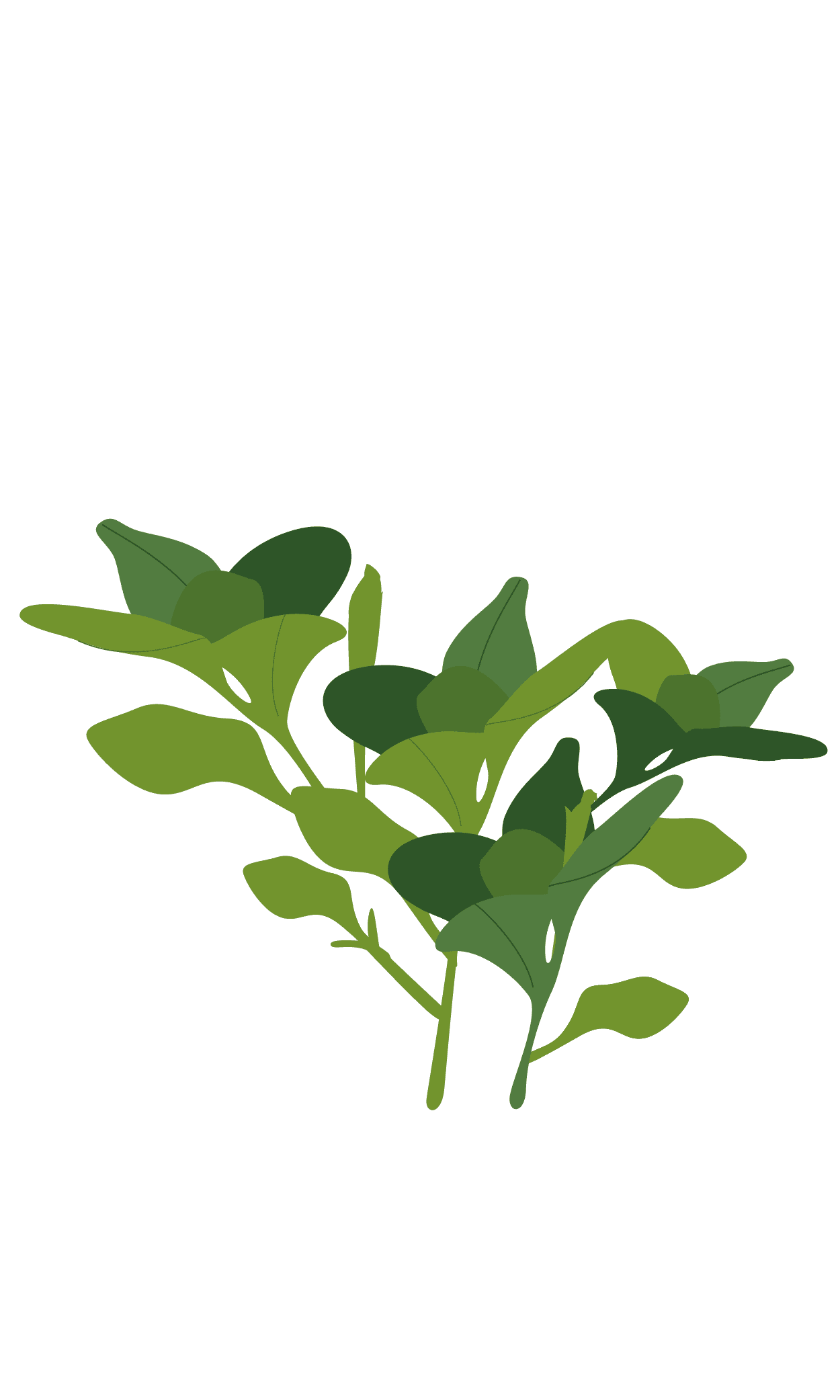 VERITABLE Lingot® Petunia – Ядлива  Петуния