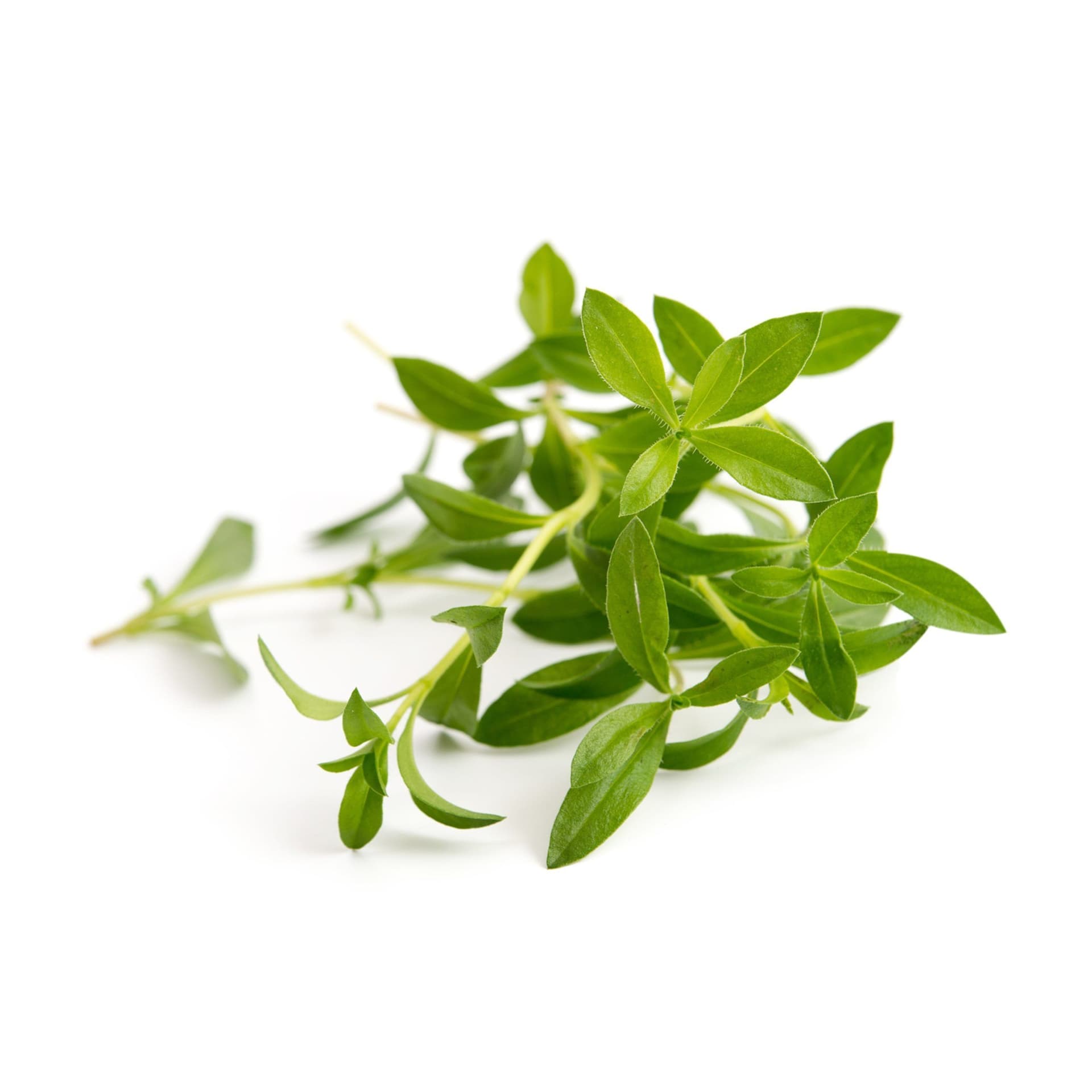 VERITABLE Lingot® Savory Organic – Чубрица