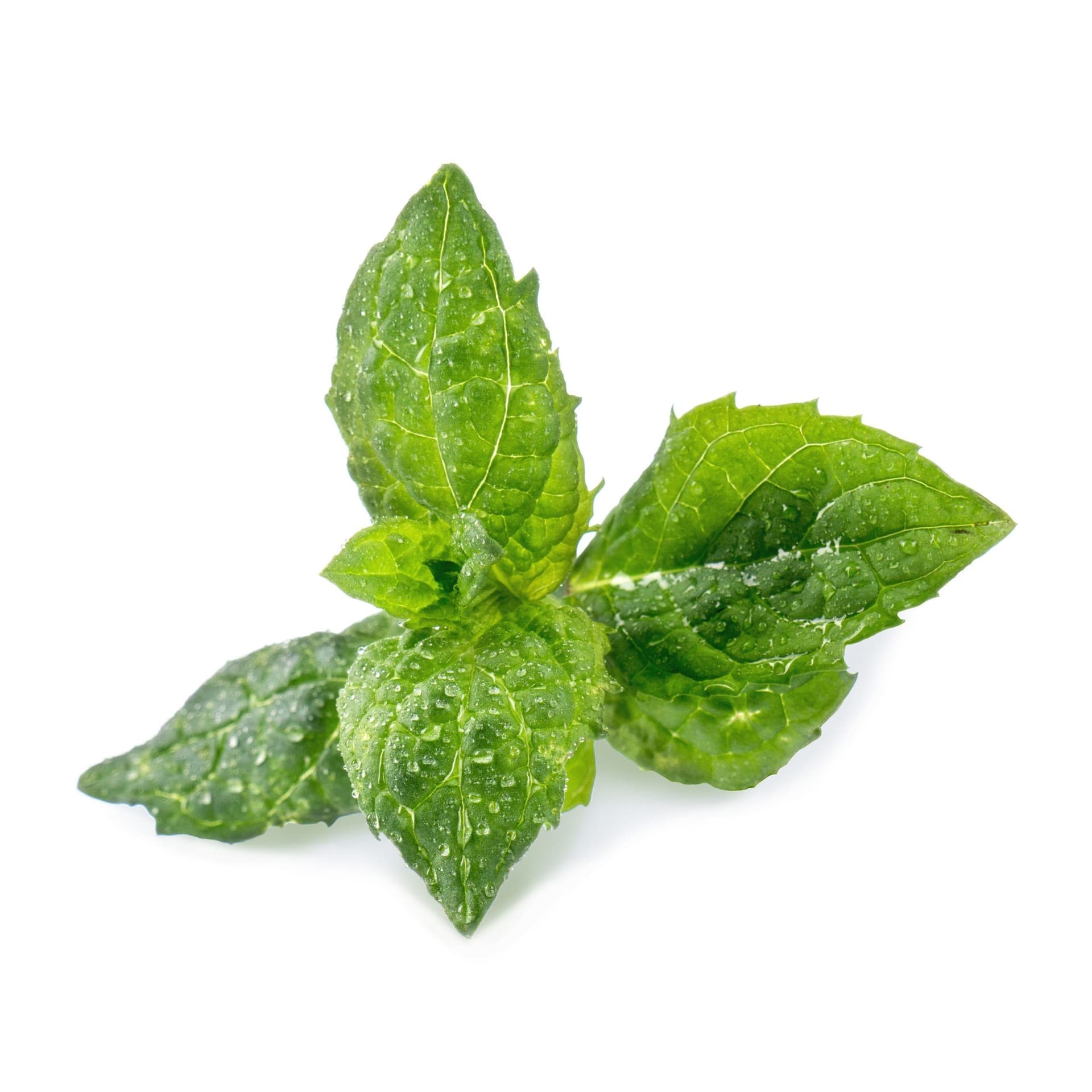 VERITABLE Lingot® Spearmint – Сладка Мента