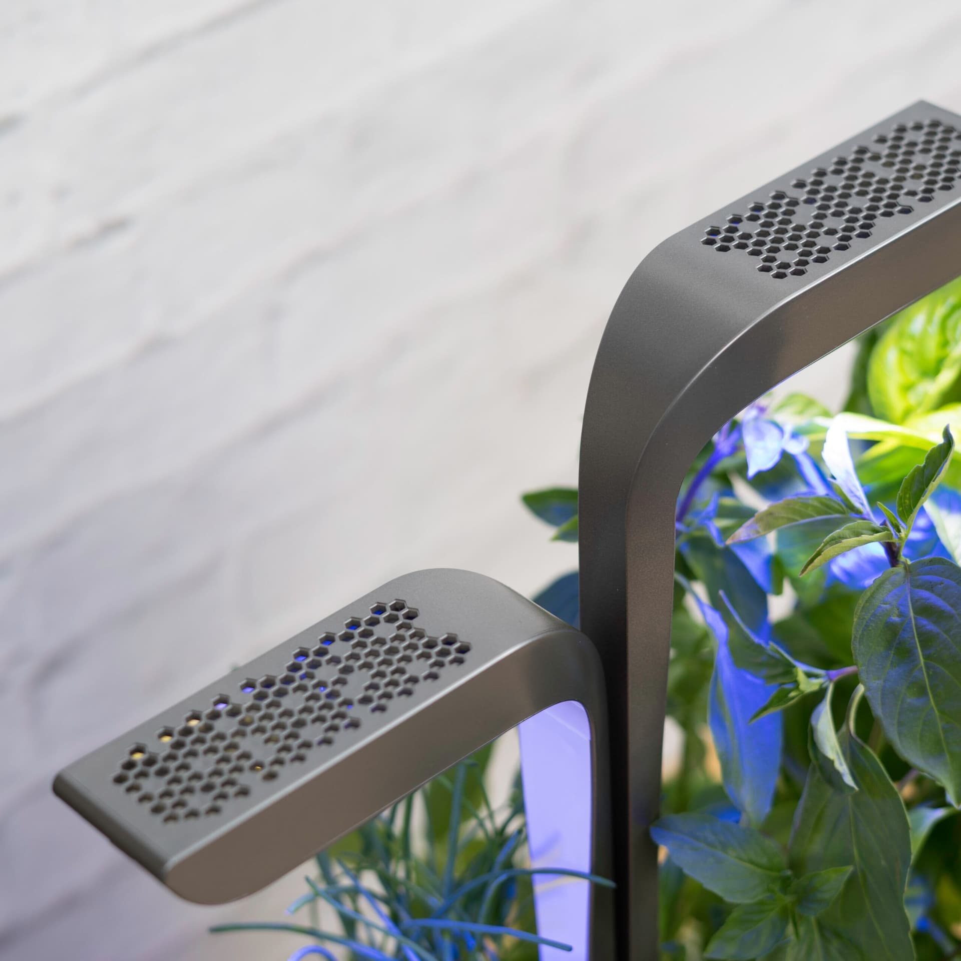 Домашна градина CONNECT VERITABLE® GARDEN – цвят бял/графит