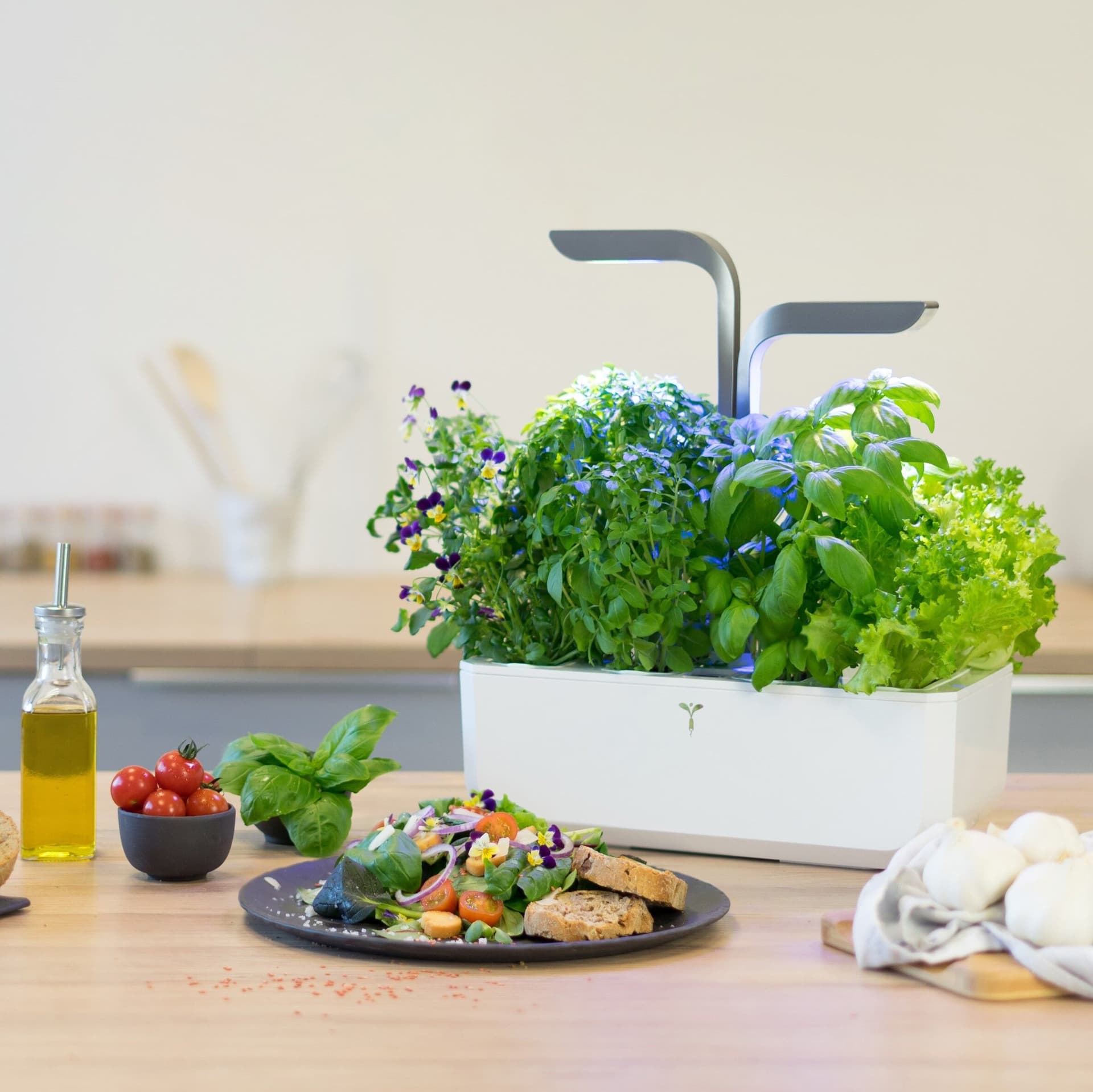 Домашна градина CONNECT VERITABLE® GARDEN – цвят бял/графит