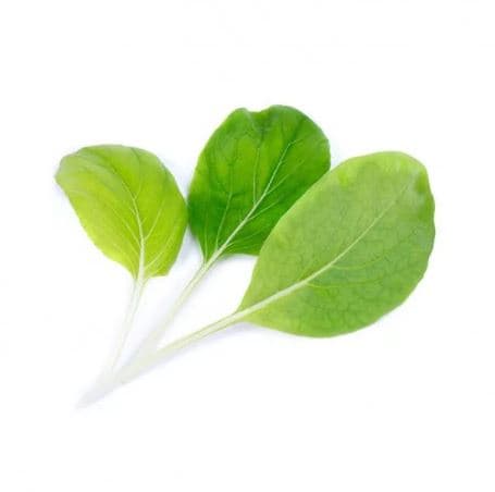 VERITABLE Lingot® Bok choi Organic - Салата Бок чой - снимка 2