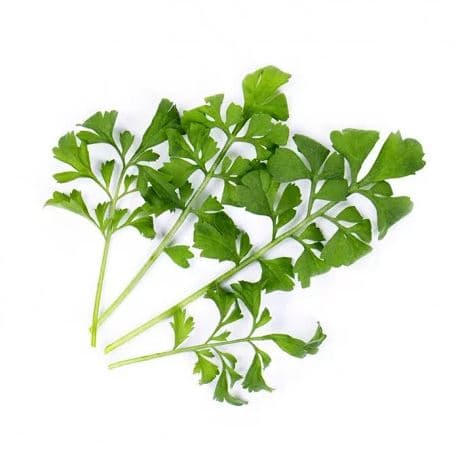 VERITABLE Lingot® Garden cress Organic - Градински Кресон - снимка 2