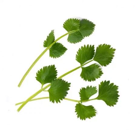 VERITABLE Lingot® Green Anise - Зелен анасон - снимка 2
