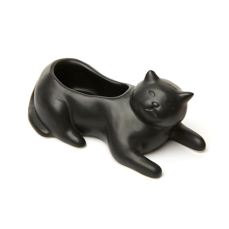 Саксия Black cat - снимка 5