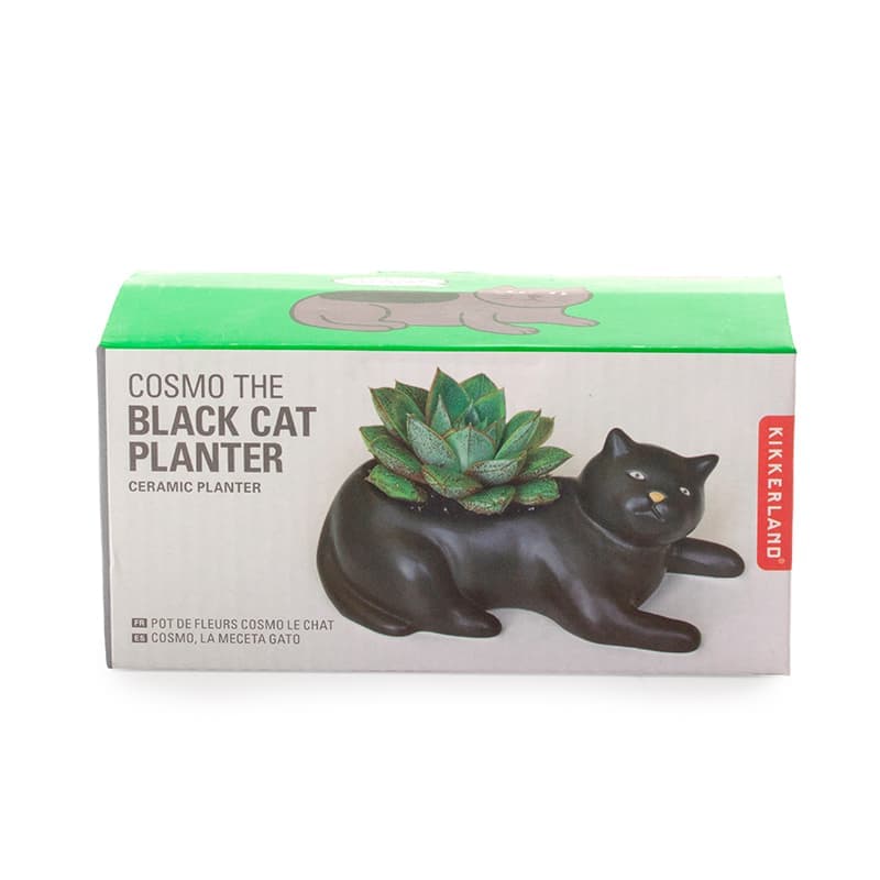 Саксия Black cat - снимка 8