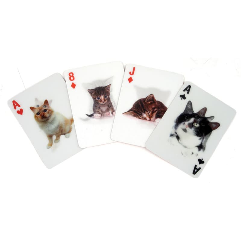 3D карти Котки - снимка 2