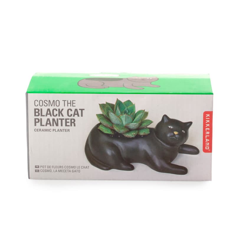 Саксия Black cat - снимка 3