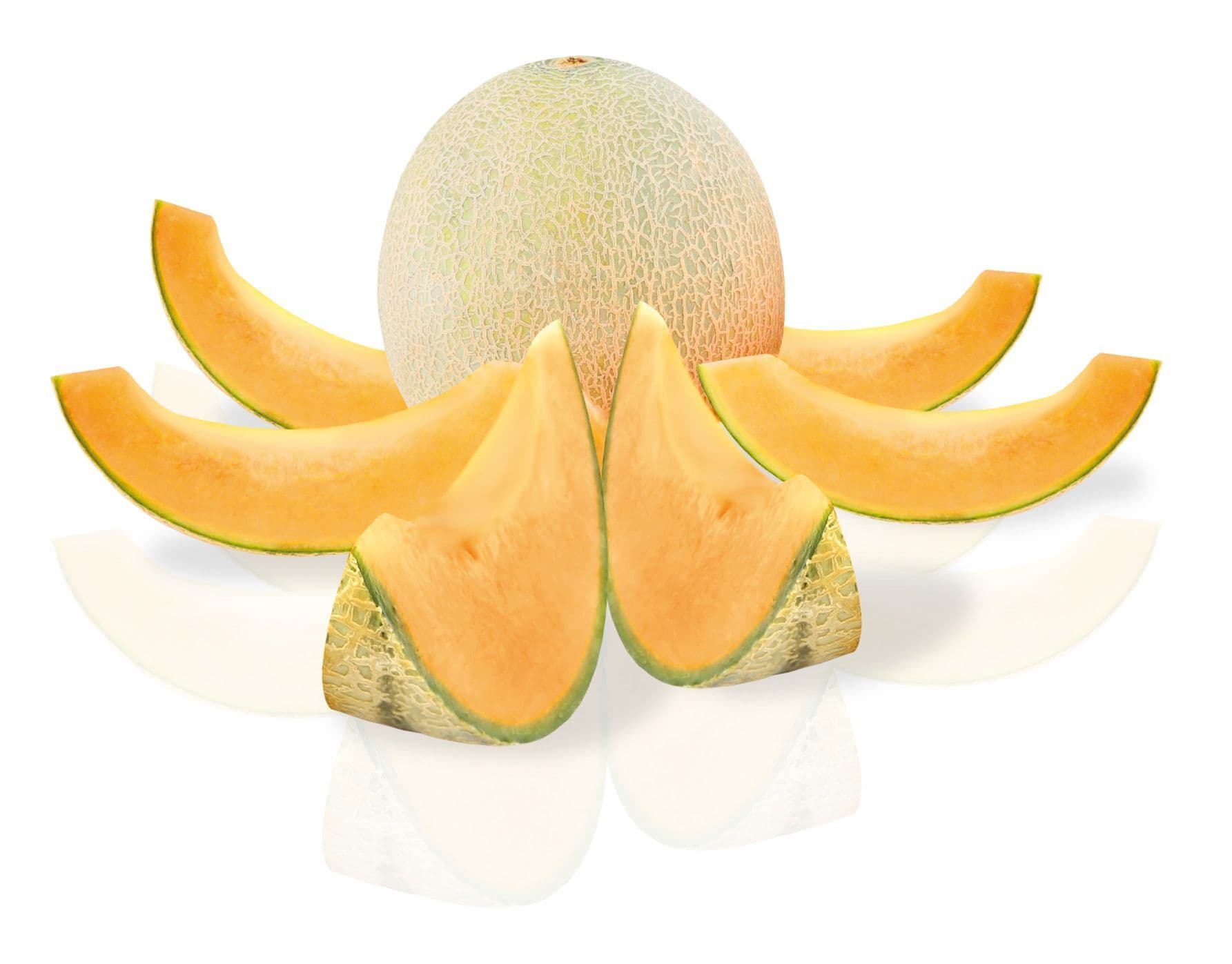 Nerthus Уред за рязане на пъпеши