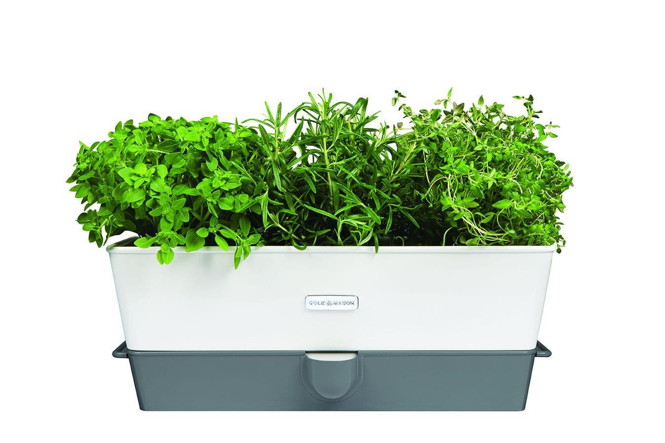 COLE & MASON Самополиваща се кашпа за зелени подправки или цветя