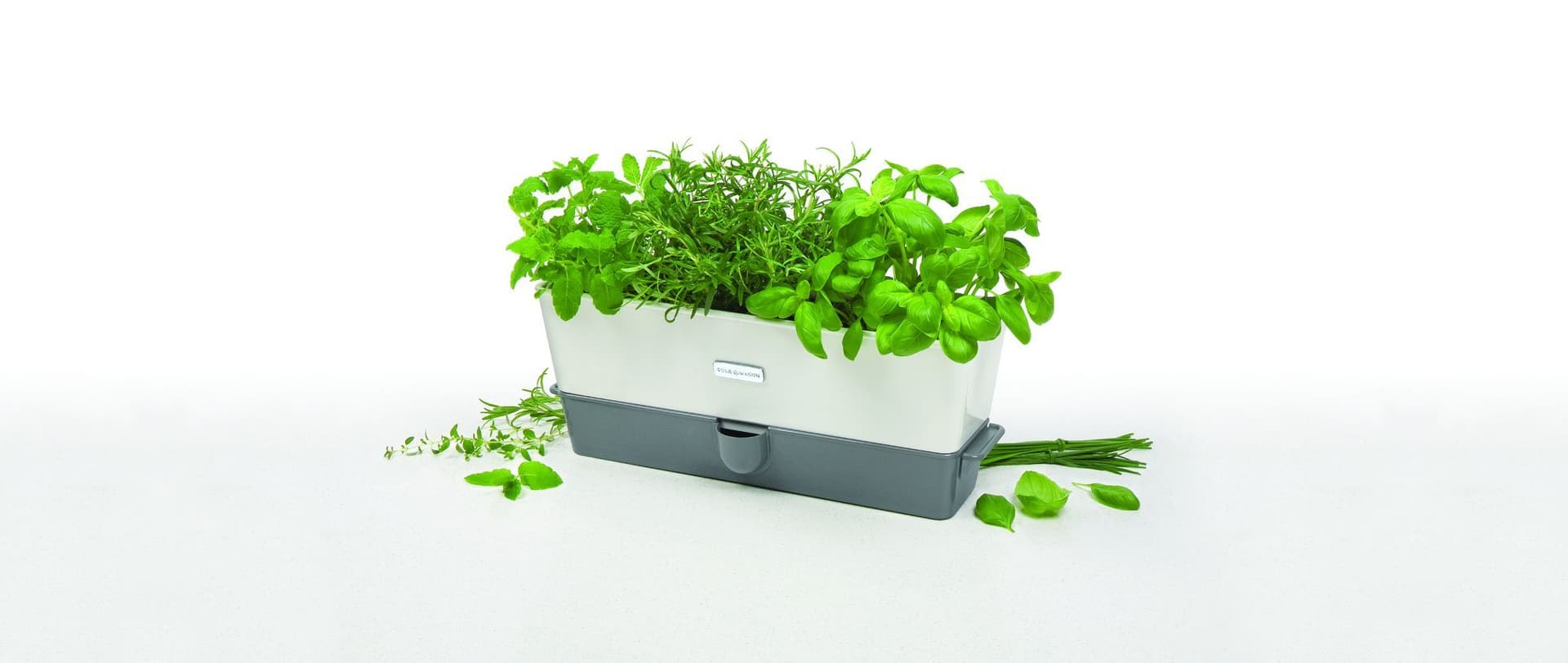 COLE & MASON Самополиваща се кашпа за зелени подправки или цветя