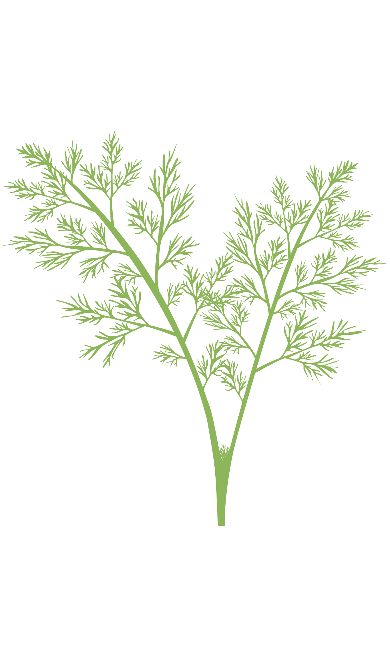 VERITABLE Lingot® Fennel – Фенел