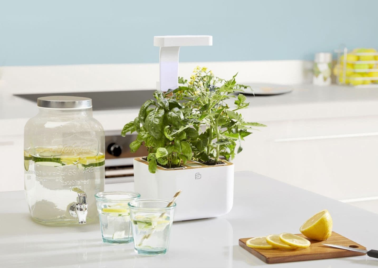 Домашна градина BOTANEO EYLO GARDEN – цвят бял