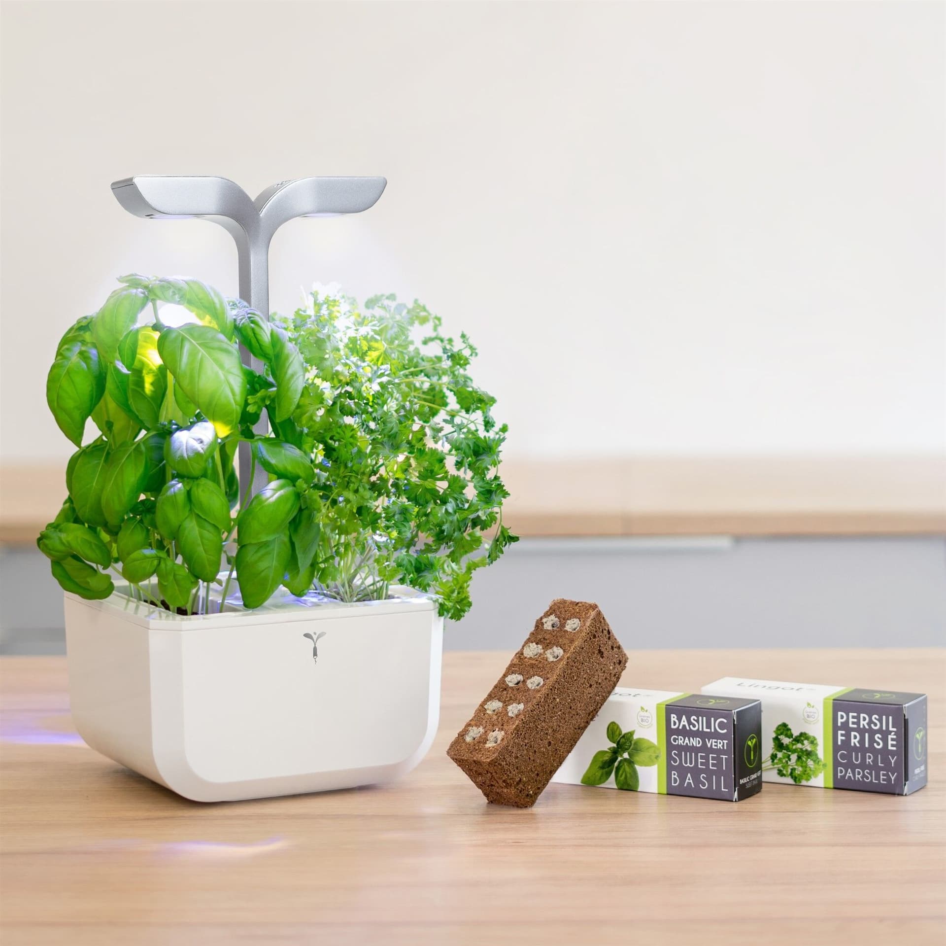 Домашна градина EXKY® SMART GARDEN – цвят бял/инокс