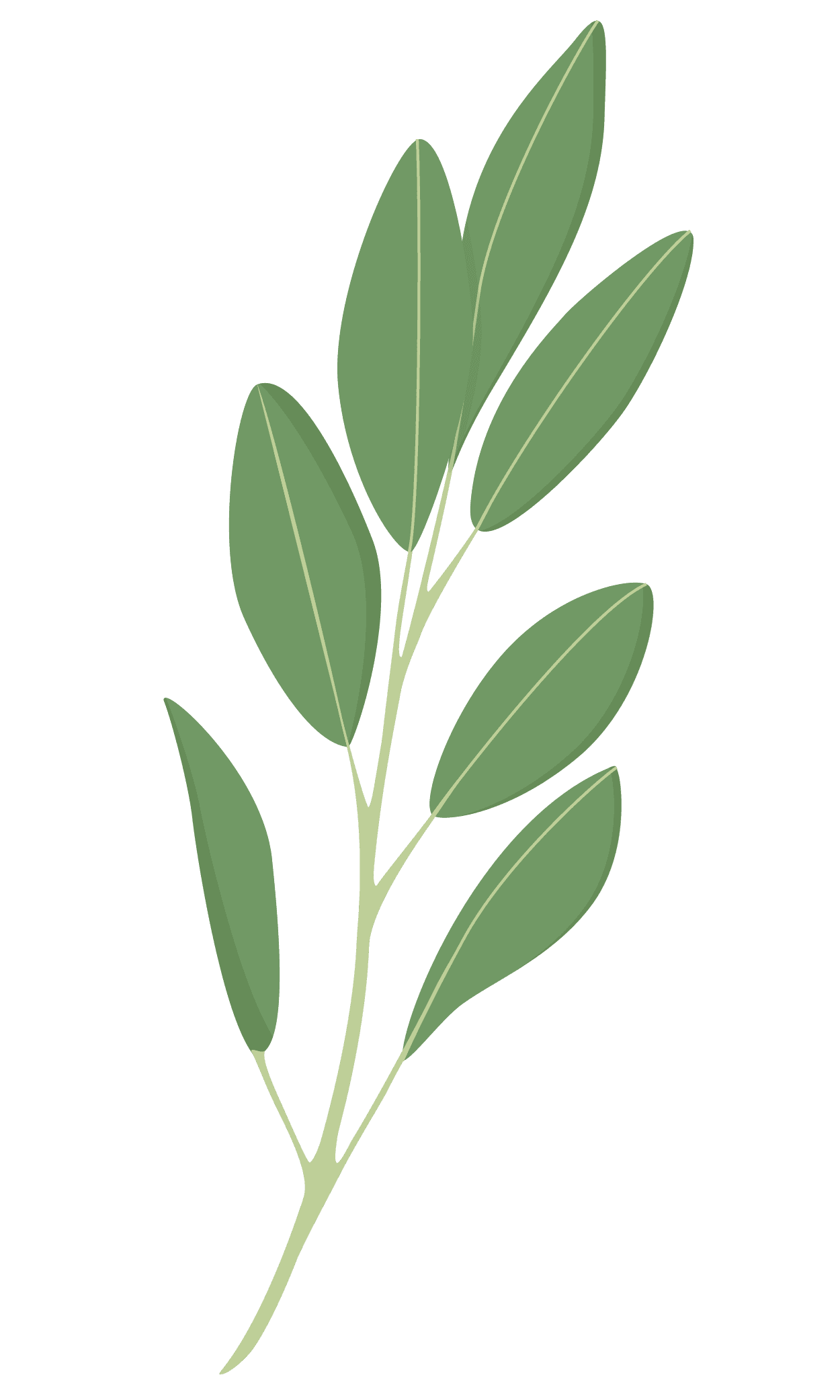 VERITABLE Lingot® Sage Organic  – Градински Чай листа