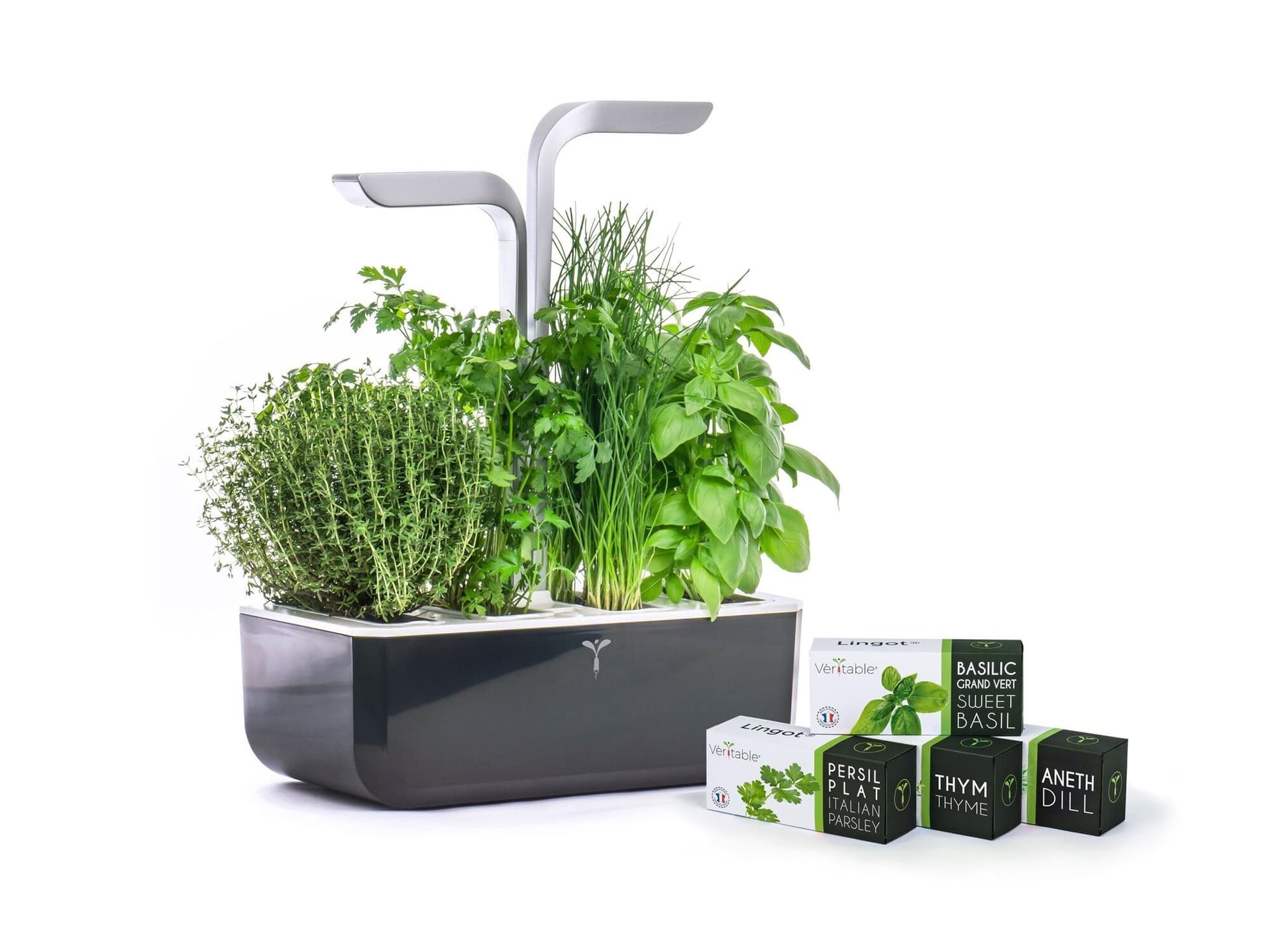 Домашна градина SMART VÉRITABLE® GARDEN - цвят черен/инокс