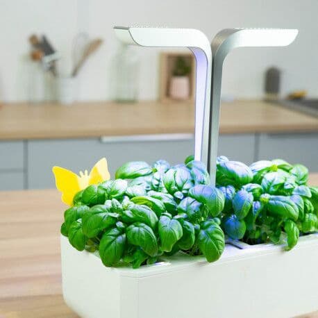 VERITABLE Комплект лепкави капани за насекоми “Butterfly“ – 8 бр.