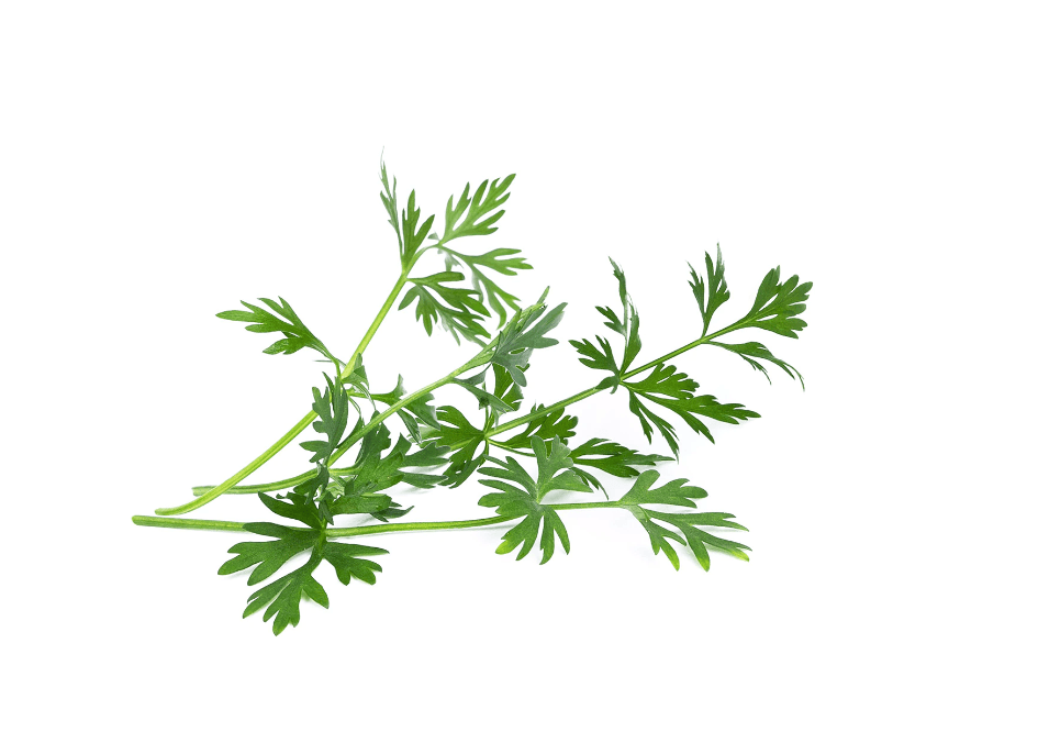 VERITABLE Lingot® Cumin – Кимион