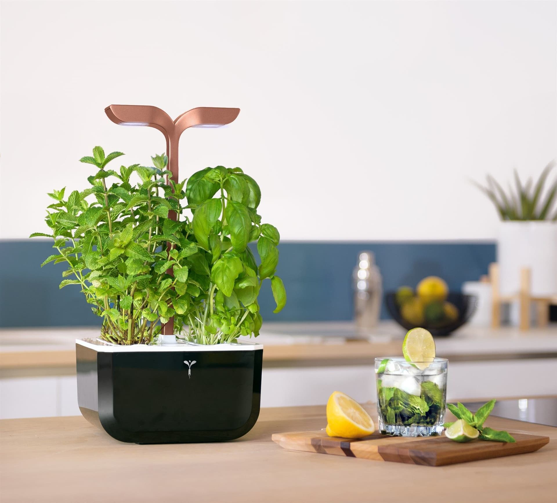 Домашна градина EXKY® SMART GARDEN – цвят черен/мед