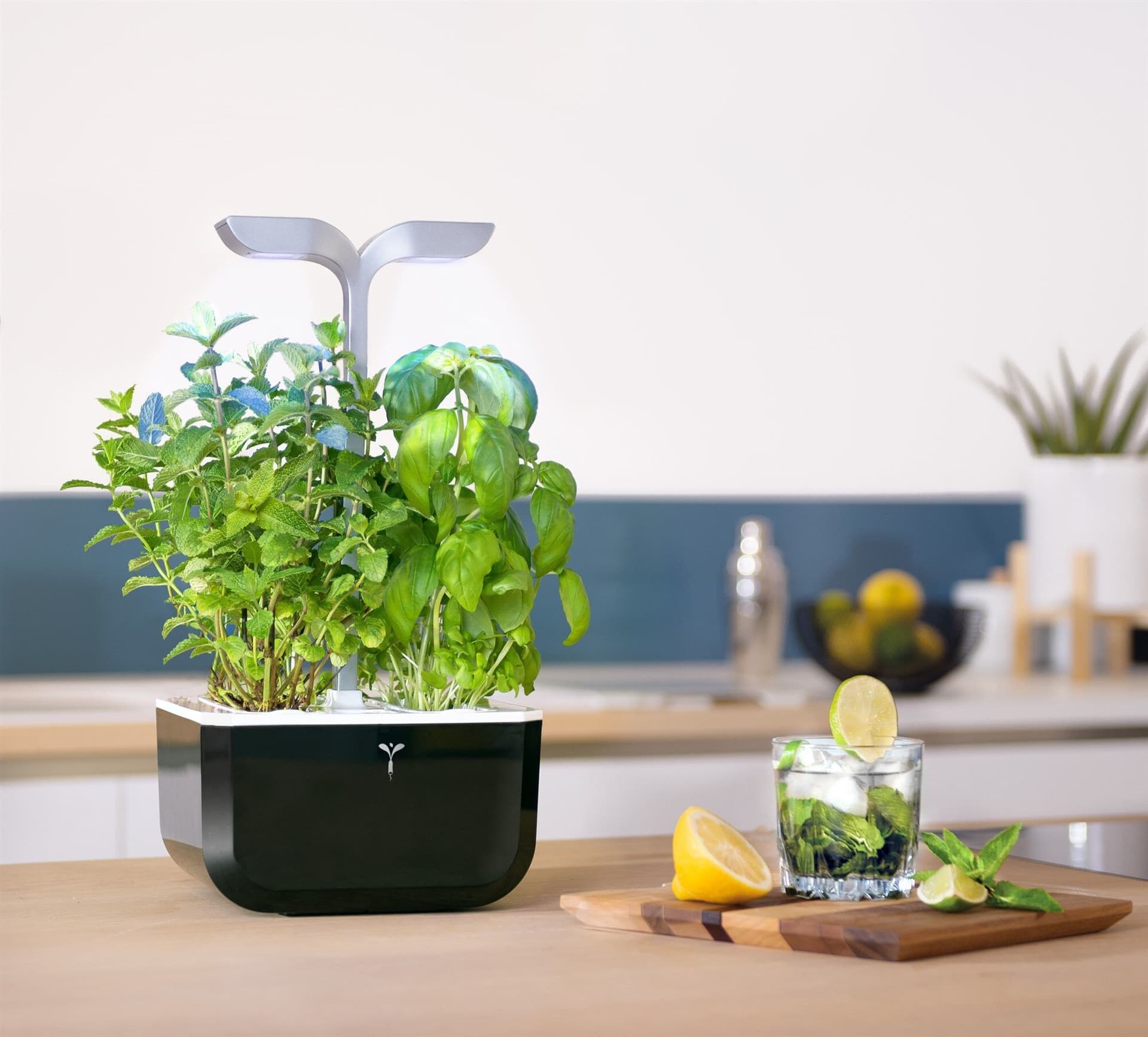 Домашна градина EXKY® SMART GARDEN – цвят черен/инокс